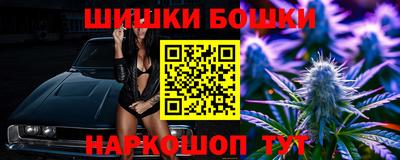 МДПВ Лесосибирск