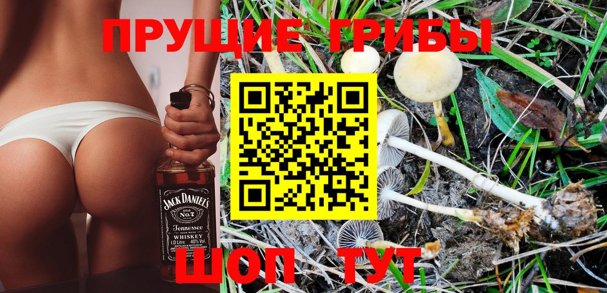 Галлюциногенные грибы MAGIC MUSHROOMS Казань