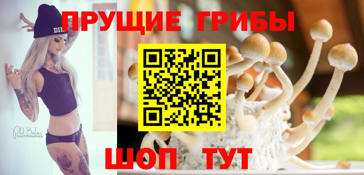 Псилоцибиновые грибы прущие грибы  Вход с VPN  Казань 